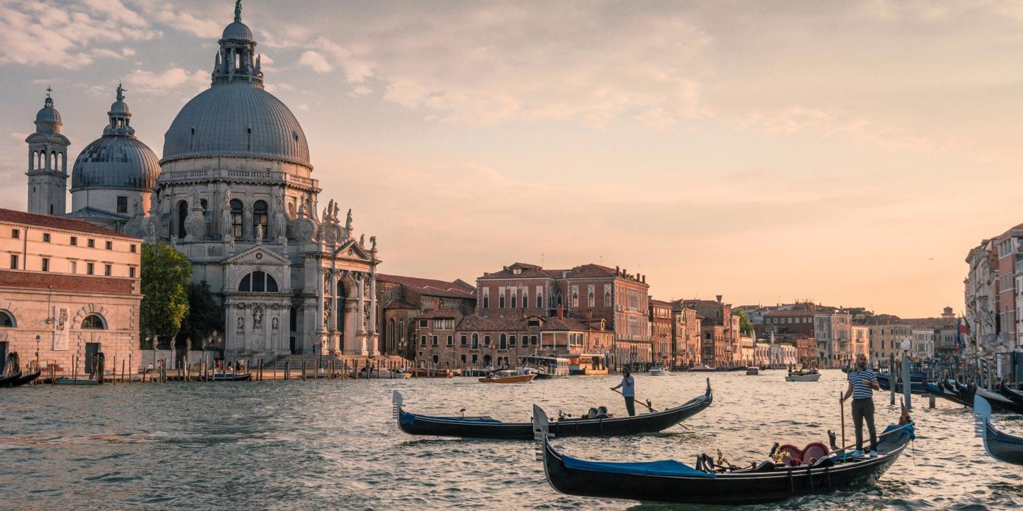 Gold Venecia